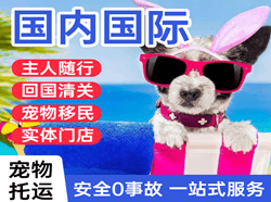 白城航空邮寄国际宠物托运 【国